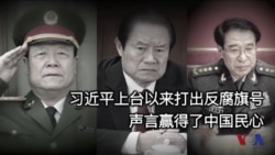 中国辽宁人大代表贿选案折射反腐现实