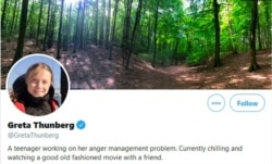 Screenshot of Greta Thunberg's Twitter profile page.