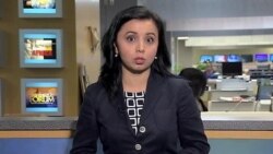 Hujjatsiz muhojirlarga yordam/Undocumented immigrants in US