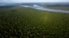 Bolivia y Brasil coordinan plan para sofocar incendios forestales en la Amazonia