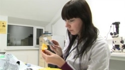 Russia Sanctions Turkey as Syria Coalition Efforts Fizzle